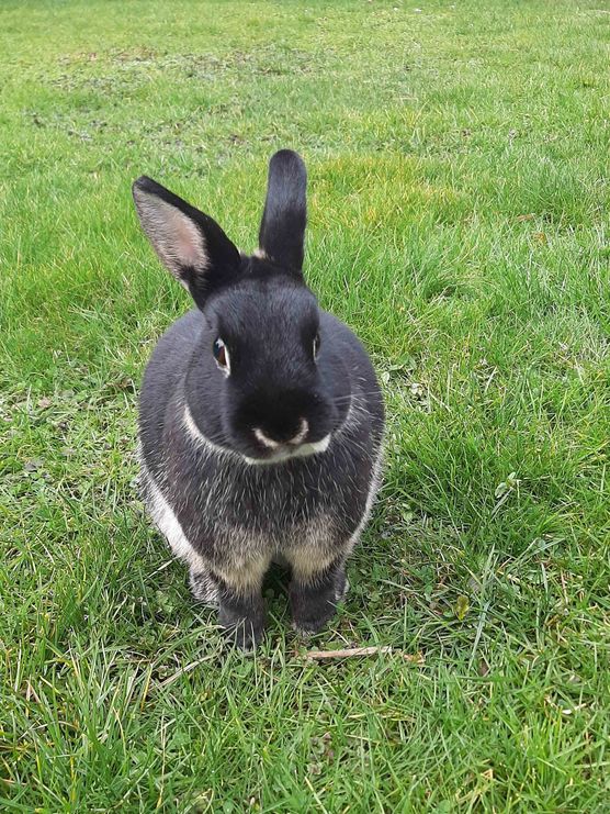 Bild von Citywoman Bild von Citywoman