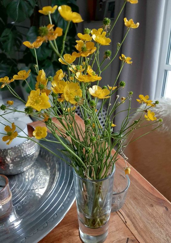 Bild von Citywoman Bild von Citywoman