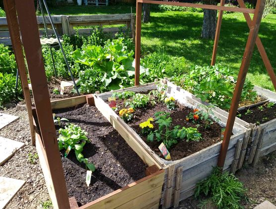 Bild von Bel-giardino Bild von Bel-giardino