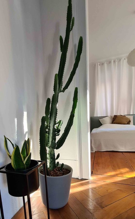 Bild von Cloud6819 Bild von Cloud6819