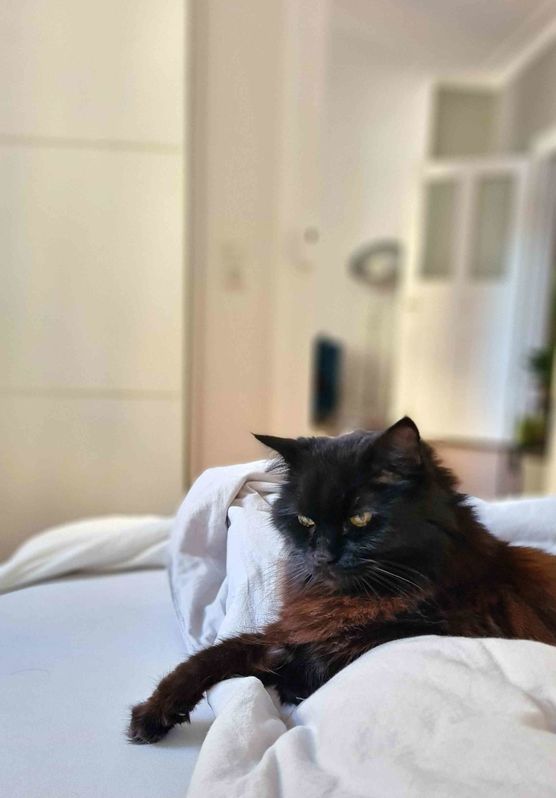 Bild von Cloud6819 Bild von Cloud6819