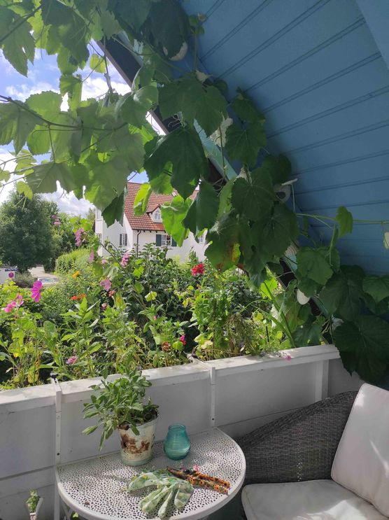 Bild von hygge_in_himmelblau Bild von hygge_in_himmelblau