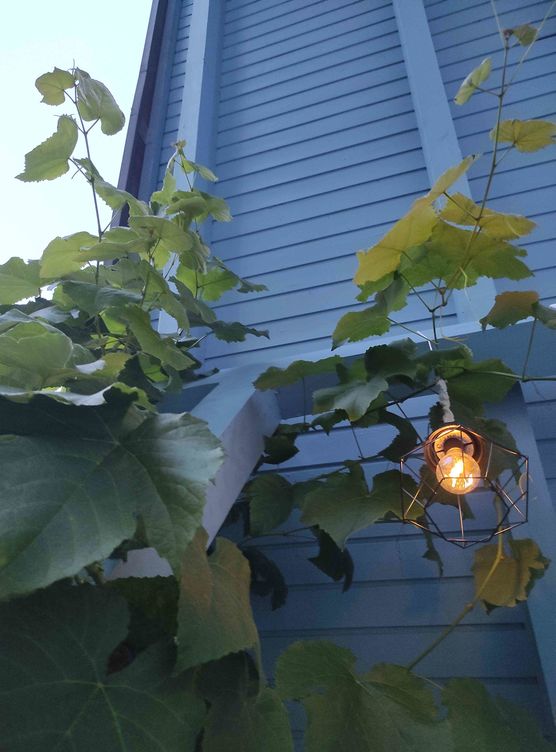 Bild von hygge_in_himmelblau Bild von hygge_in_himmelblau