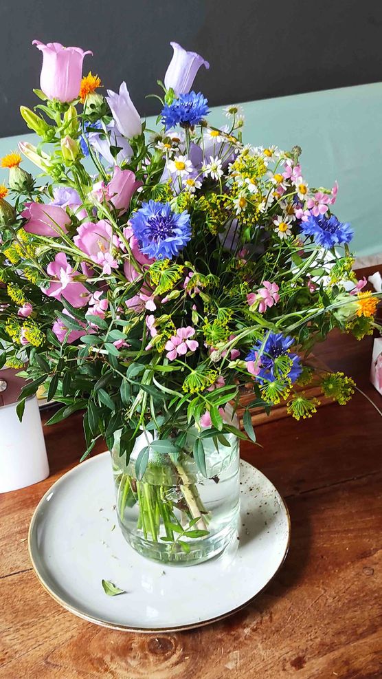 Bild von köwi4 Bild von köwi4