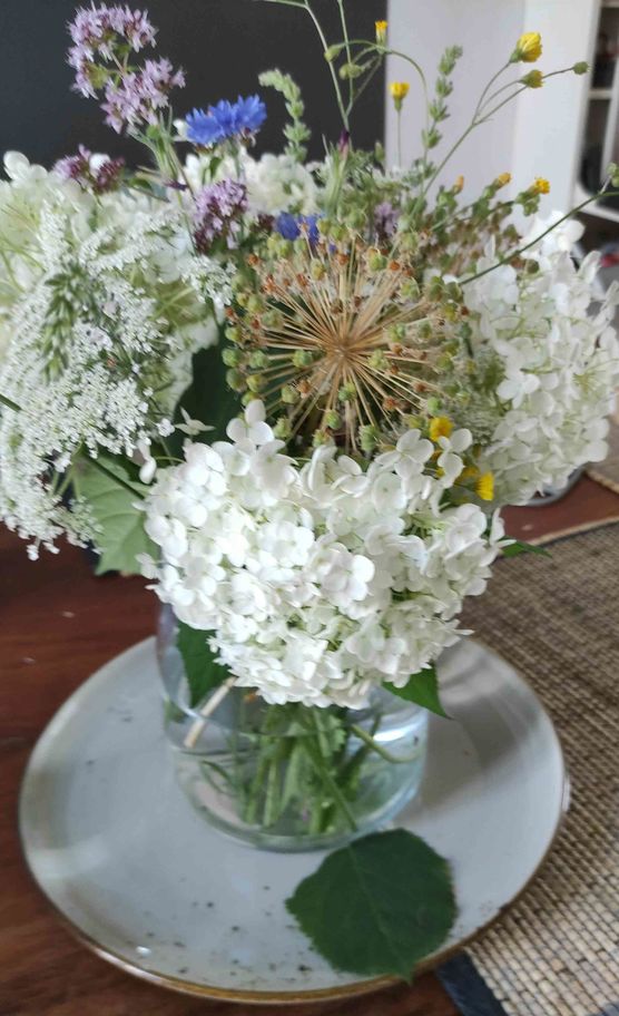 Bild von köwi4 Bild von köwi4