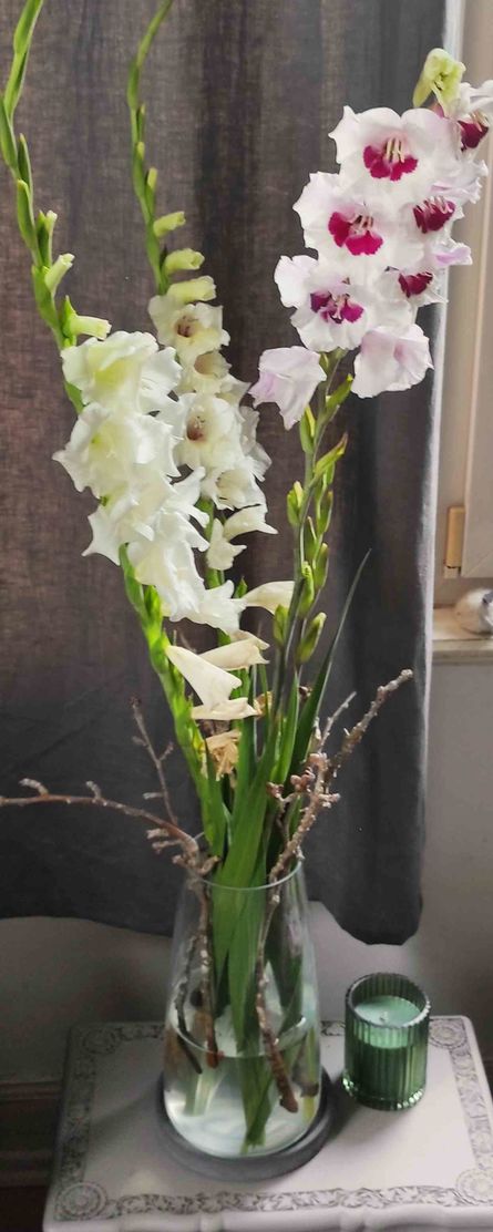 Bild von köwi4 Bild von köwi4