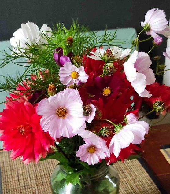 Bild von köwi4 Bild von köwi4