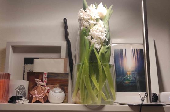 Bild von köwi4 Bild von köwi4