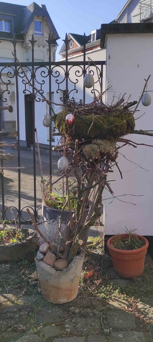 Bild von köwi4 Bild von köwi4