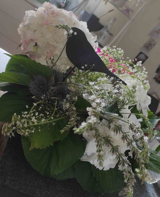 Bild von köwi4 Bild von köwi4