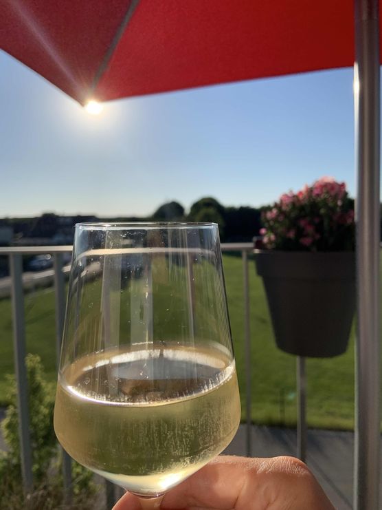 Bild von Rhododendron Bild von Rhododendron