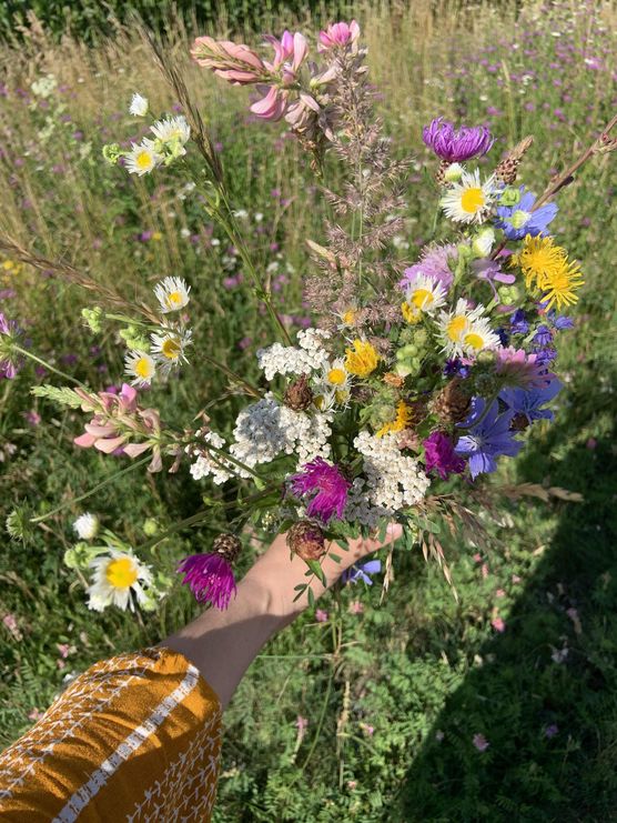Bild von Rhododendron Bild von Rhododendron