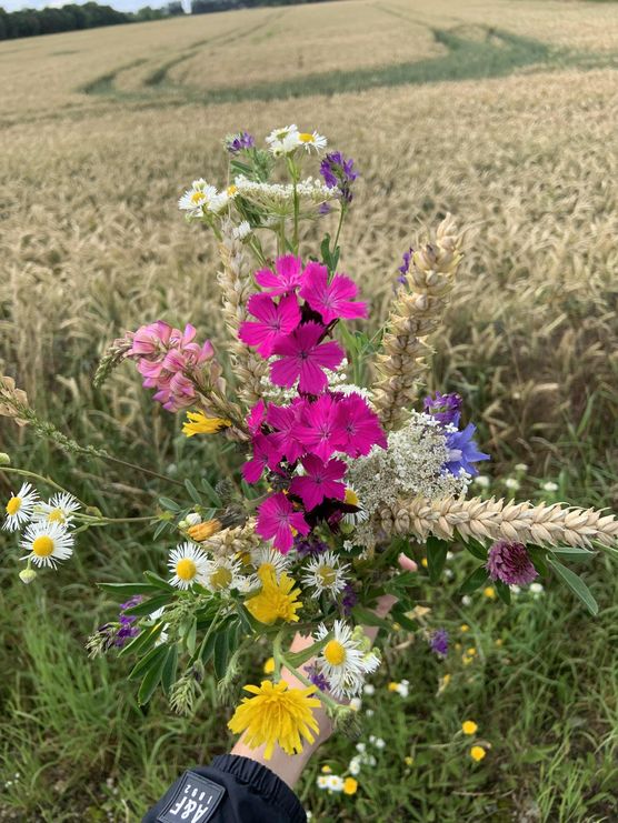 Bild von Rhododendron Bild von Rhododendron