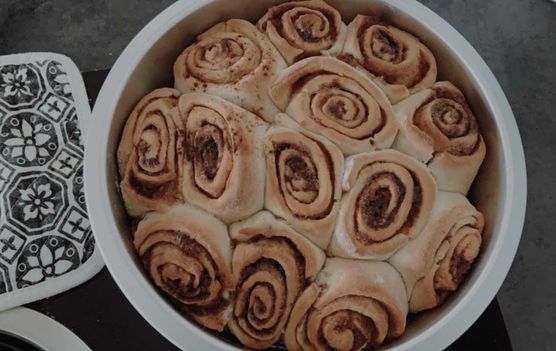 Bild von Rhododendron Bild von Rhododendron