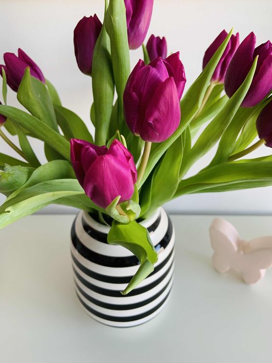 Bild von Rhododendron Bild von Rhododendron