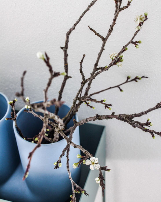 Bild von VickyK Bild von VickyK