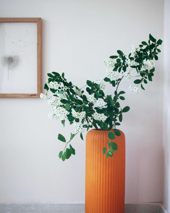 Bild von VickyK Bild von VickyK