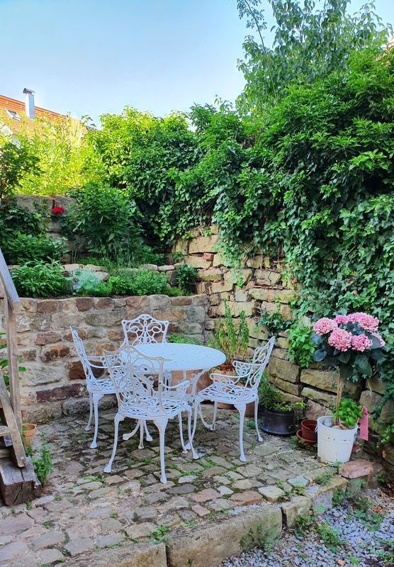 Schattiges Lieblingsplätzchen... Schattiges Lieblingsplätzchen...