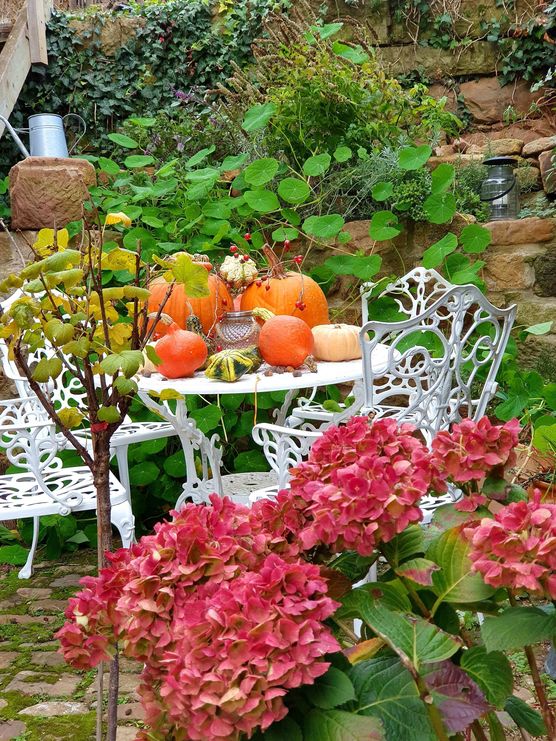 Bild von fallfrosch Bild von fallfrosch