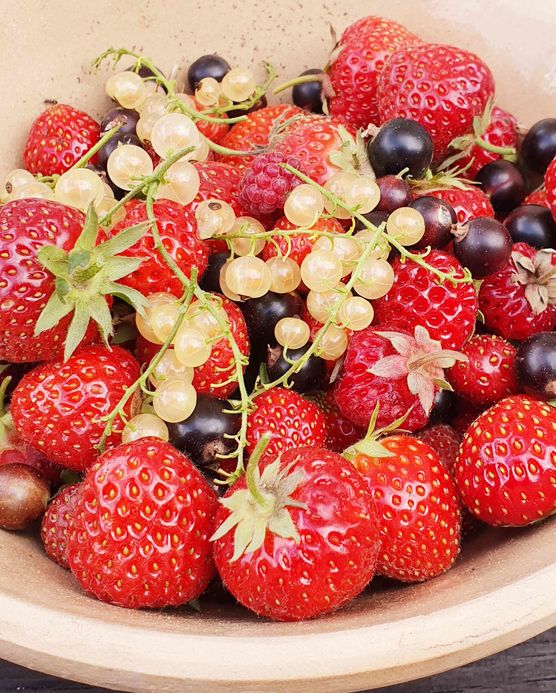 Bild von fallfrosch Bild von fallfrosch