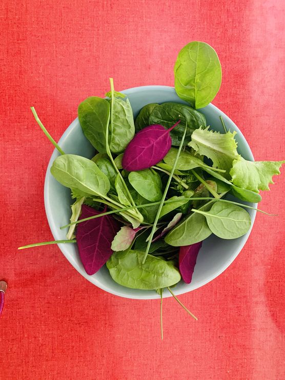 Ich ging heute in Ich ging heute in