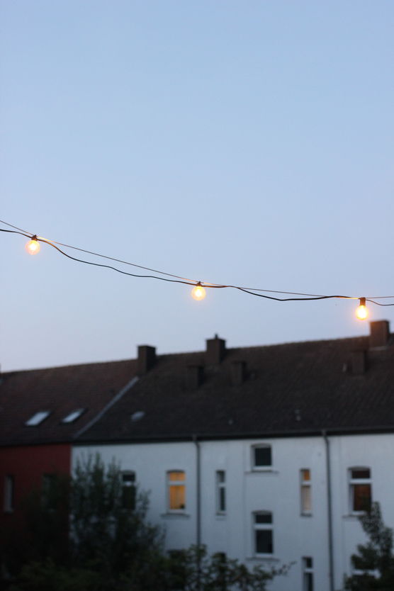 Bild von ava_ness Bild von ava_ness