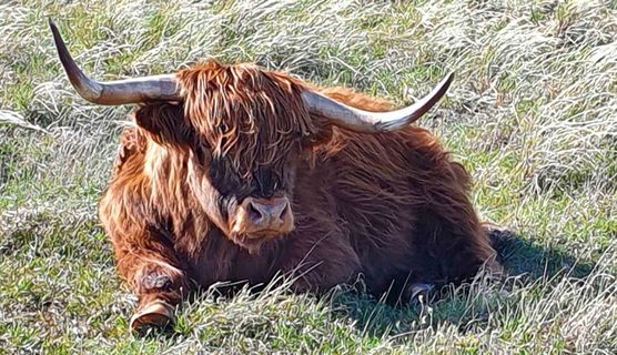 Bild von Carmela Bild von Carmela