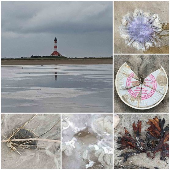 Bild von Carmela Bild von Carmela