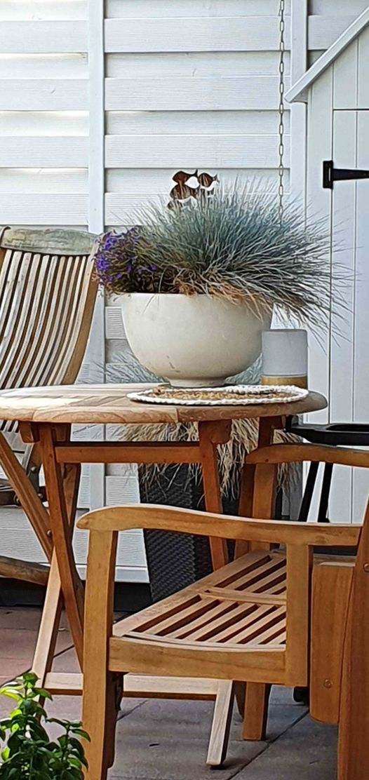 Bild von Carmela Bild von Carmela