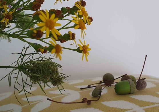 Bild von Carmela Bild von Carmela