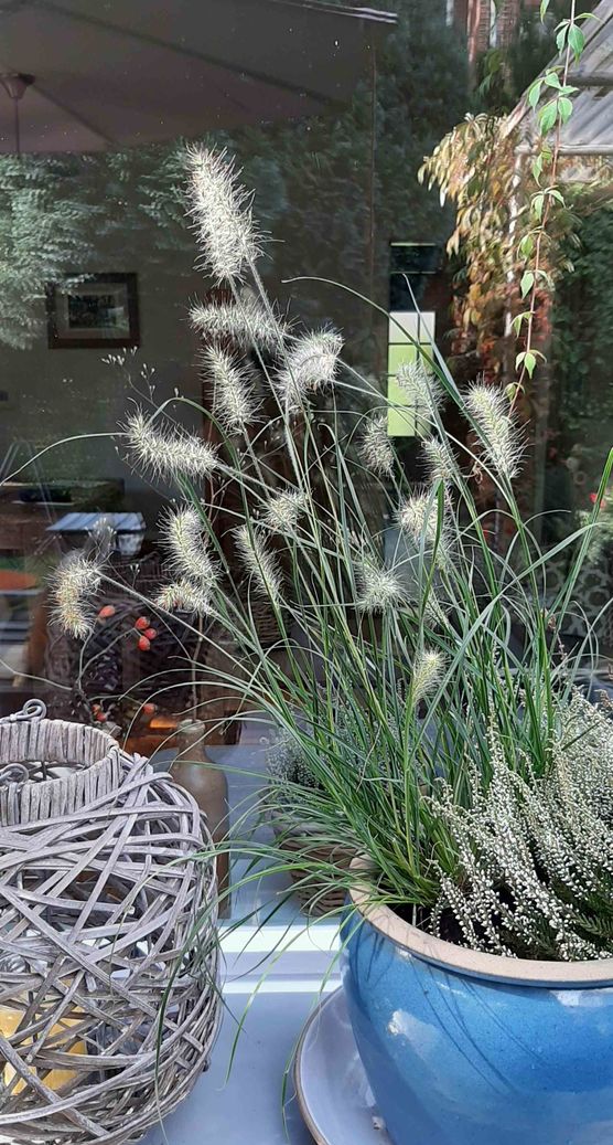 Bild von Bretterbude Bild von Bretterbude