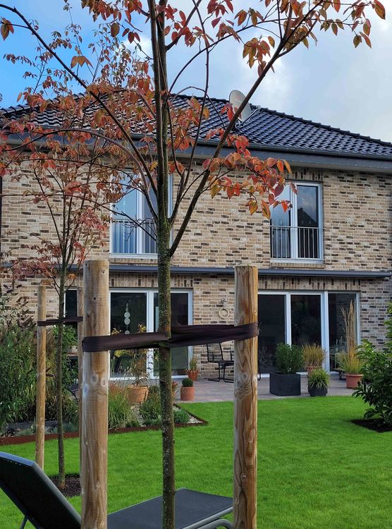 Bild von EvaWaSa Bild von EvaWaSa