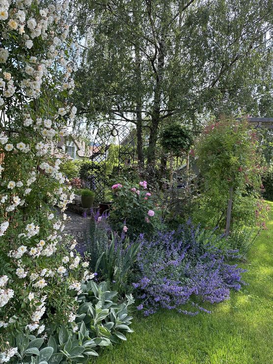 Bild von casa_gotez Bild von casa_gotez