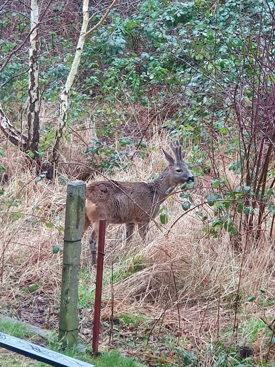 Bild von milsterin Bild von milsterin