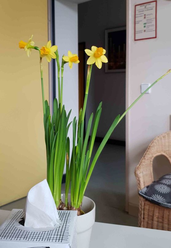 Bild von milsterin Bild von milsterin