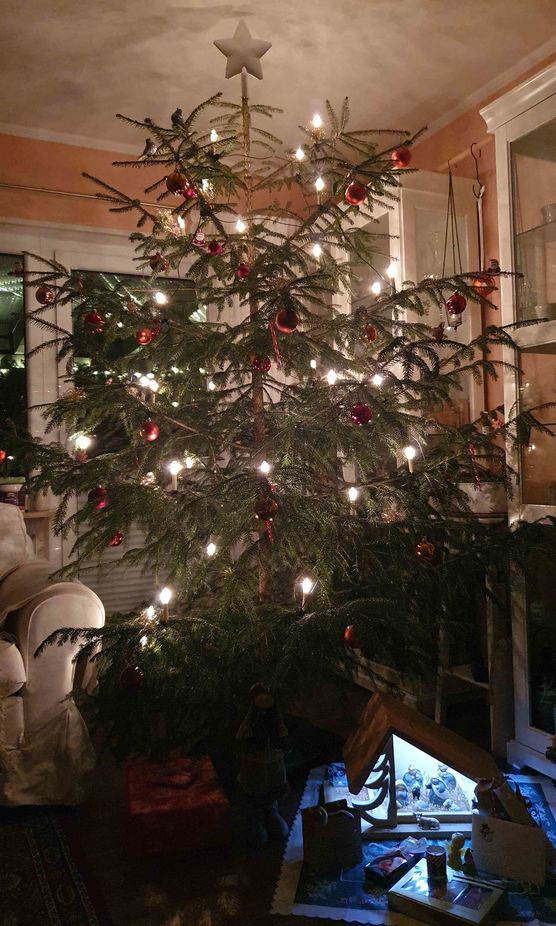 Bild von milsterin Bild von milsterin