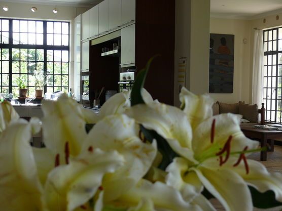 Frühling in der Küche Frühling in der Küche