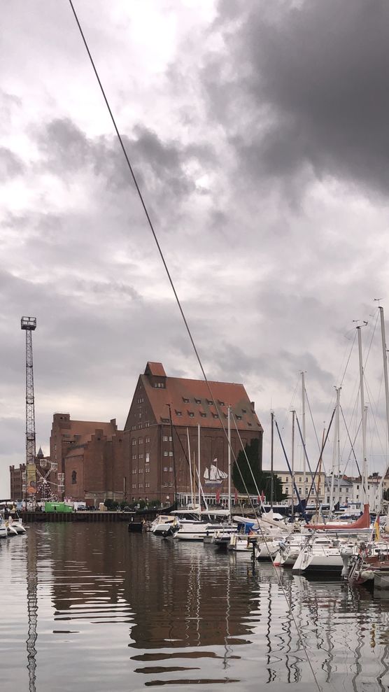 In diesem Jahr zog In diesem Jahr zog