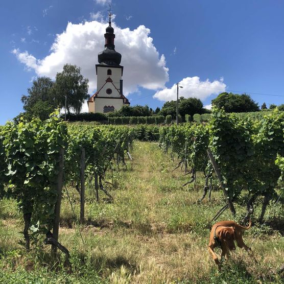 Bild von enny.b Bild von enny.b