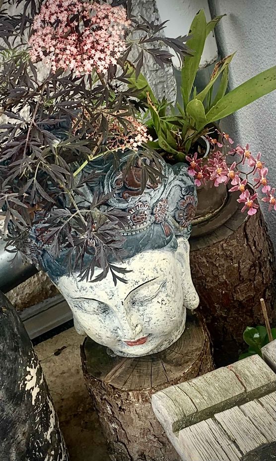 Bild von enny.b Bild von enny.b