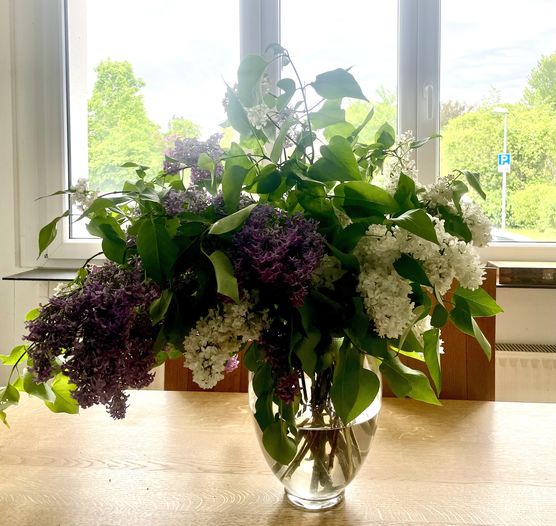 Gartenfreuden
Unsere Wildnis bringt Gartenfreuden
Unsere Wildnis bringt