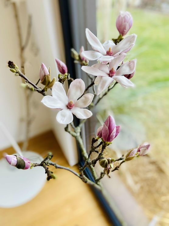 Bild von anniathome Bild von anniathome