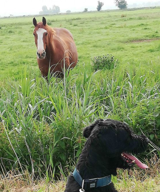 Bild von imkebie Bild von imkebie