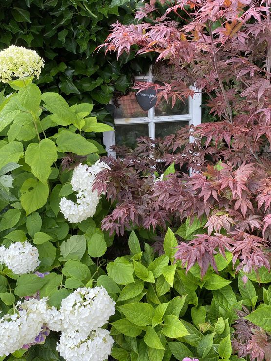 Bild von imkebie Bild von imkebie