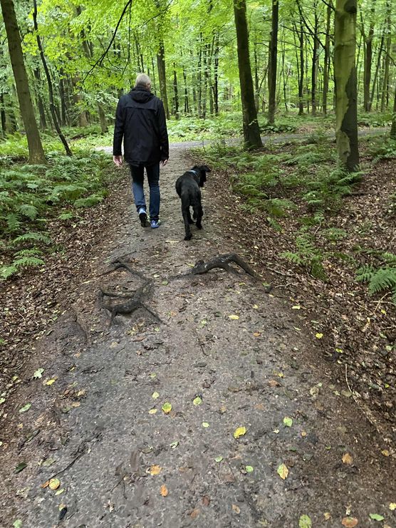Bild von imkebie Bild von imkebie