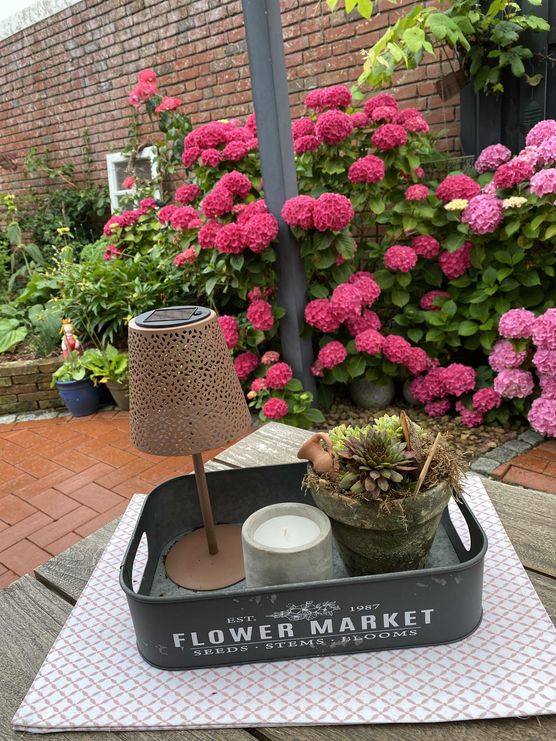 Bild von imkebie Bild von imkebie