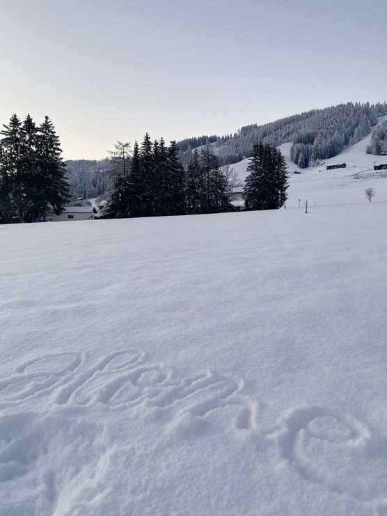 Das letzte Bild vom Das letzte Bild vom