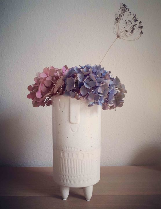 Bild von Jansy Bild von Jansy