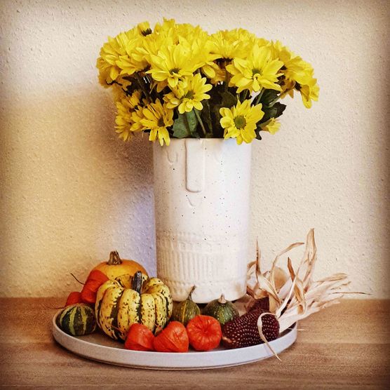 Bild von Jansy Bild von Jansy