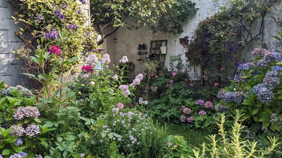 Bild von lisa.k.3 Bild von lisa.k.3